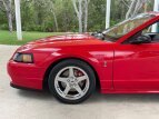 Thumbnail Photo 13 for 1999 Ford Mustang Cobra Coupe